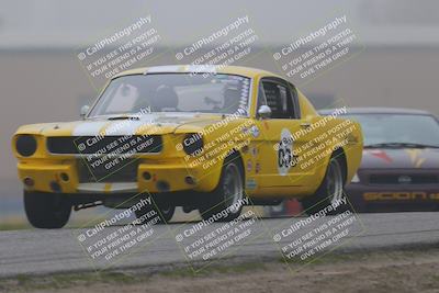 media/Jan-17-2026-VARA University (Sat) [[0e7bc3e19f]]/Gold/Session 1 I5 Straight/